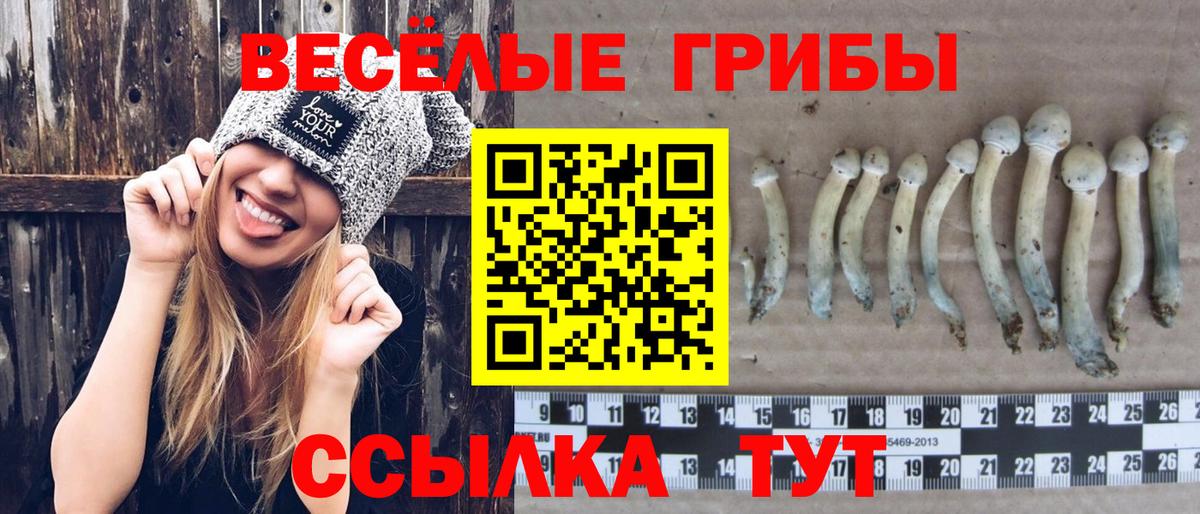 Псилоцибиновые грибы MAGIC MUSHROOMS  Псилоцибиновые грибы Cubensis  Красноярск  Вход с VPN 